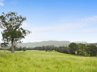 402 Oakey Creek Road Pokolbin NSW 2320 - Image 2