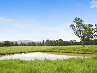 402 Oakey Creek Road Pokolbin NSW 2320 - Image 3
