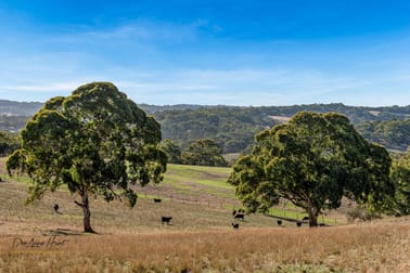 290 Gemmell Road Macclesfield SA 5153 - Image 1
