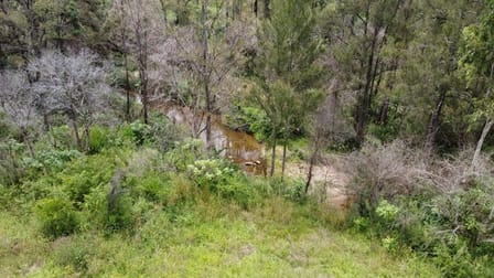 50 & 61/3239 Armidale Road Blaxlands Creek NSW 2460 - Image 1