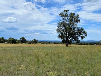 219 Lowes Peak Road Mudgee NSW 2850 - Image 2