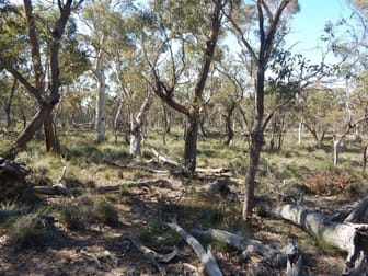 Lot 9 Shannons Flat Road Cooma NSW 2630 - Image 1