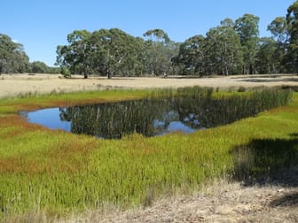 Lot 1 TP84076 Skipton Road Beaufort VIC 3373 - Image 1