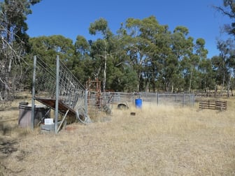 Lot 1 TP84076 Skipton Road Beaufort VIC 3373 - Image 3