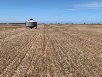 Sec 65 & 66 Mallala/ Long Plains Roads Dublin SA 5501 - Image 1