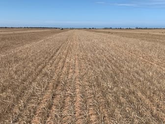 Sec 65 & 66 Mallala/ Long Plains Roads Dublin SA 5501 - Image 2
