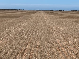 Sec 65 & 66 Mallala/ Long Plains Roads Dublin SA 5501 - Image 3