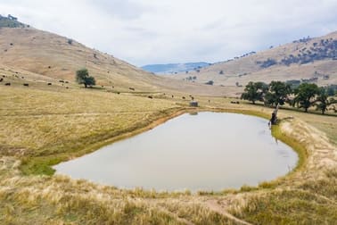 'Wagra Park'/101 Spring Creek Rd Tallangatta VIC 3700 - Image 3