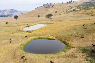 'Wagra Park'/101 Spring Creek Rd Tallangatta VIC 3700 - Image 1