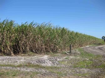 Lower Tully QLD 4854 - Image 1
