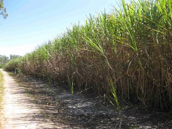 Lower Tully QLD 4854 - Image 2
