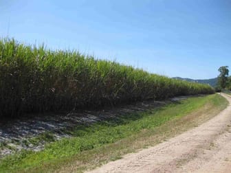 Lower Tully QLD 4854 - Image 3