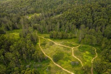 255 Careys Road Hillville NSW 2430 - Image 3