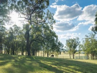 473 Upper Dartbrook Road Scone NSW 2337 - Image 3