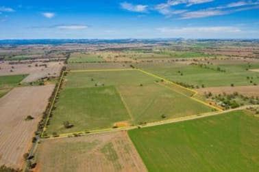 Coursing Park Road, Downside via Wagga Wagga NSW 2650 - Image 1