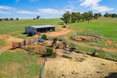 Coursing Park Road, Downside via Wagga Wagga NSW 2650 - Image 3