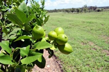 221 Beronne Road Gayndah QLD 4625 - Image 1