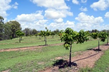 221 Beronne Road Gayndah QLD 4625 - Image 3
