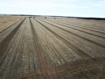 'Hazelwood' Narromine NSW 2821 - Image 2