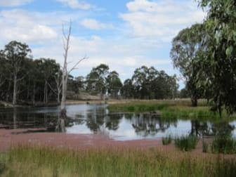 Lot 1/ Warrigal-Toms Creek Road Newry VIC 3859 - Image 3