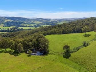 119 Lakeview Road Calderwood NSW 2527 - Image 3