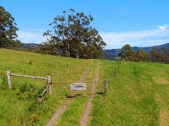 119 Lakeview Road Calderwood NSW 2527 - Image 1