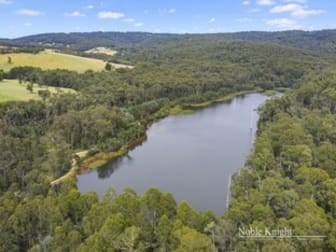 431 Gordons Bridge Road Kinglake VIC 3763 - Image 1