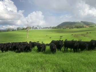 1280 Mill Creek Road Stroud NSW 2425 - Image 3