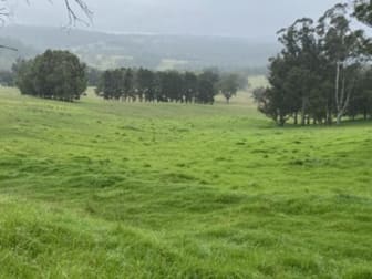 526 Meryla Road Manchester Square NSW 2577 - Image 1