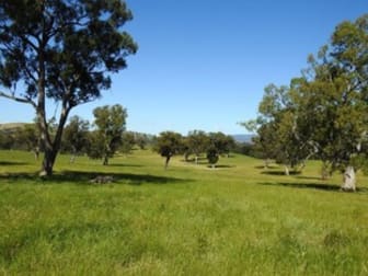 14 Ghin Ghin Road Yea VIC 3717 - Image 1