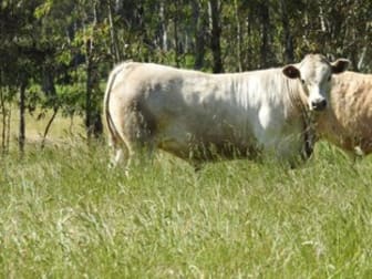 14 Ghin Ghin Road Yea VIC 3717 - Image 3