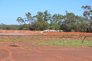 * "Bulgoo" Incorporating "The Meadows" Cobar NSW 2835 - Image 2