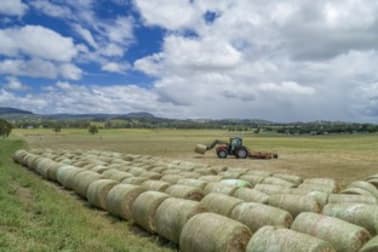 307 Innisplain Road Innisplain QLD 4285 - Image 3