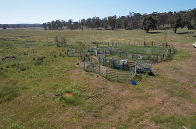 12704 GOLDEN HIGHWAY Uarbry NSW 2329 - Image 3
