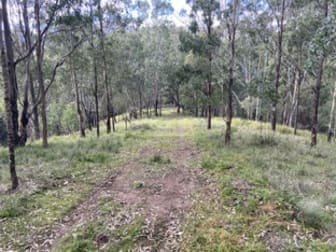 Lot 109 Carrowbrook Road Carrowbrook NSW 2330 - Image 2