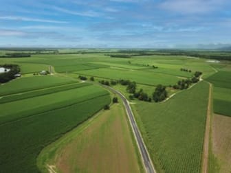 238 Davidson Road Tully QLD 4854 - Image 2