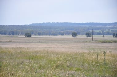 4255 Neilrex Road Neilrex NSW 2831 - Image 3
