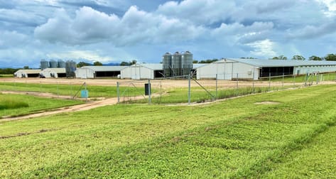 Click to view all images 90 North Walsh Road Arriga QLD 4880 - Image 2