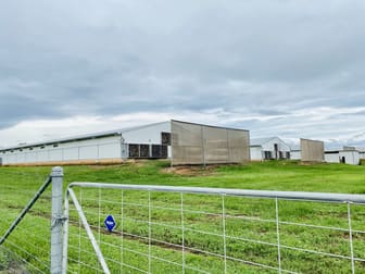 Click to view all images 90 North Walsh Road Arriga QLD 4880 - Image 3