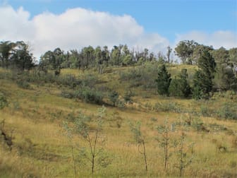 2084 Campbells Creek Road Mudgee NSW 2850 - Image 1