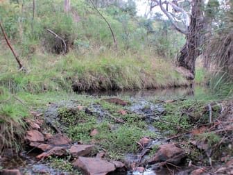 2084 Campbells Creek Road Mudgee NSW 2850 - Image 3
