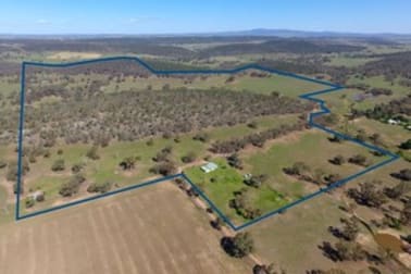 97 Pecks Road Molong NSW 2866 - Image 3