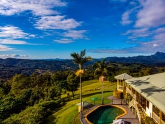 2407 Numinbah Road Numinbah NSW 2484 - Image 1