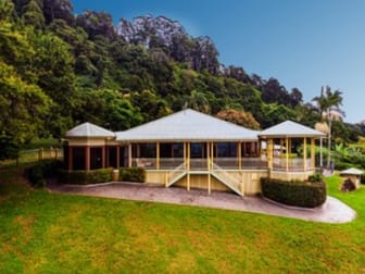 2407 Numinbah Road Numinbah NSW 2484 - Image 2