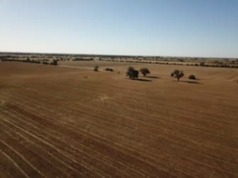 South Coree Road Finley NSW 2713 - Image 3