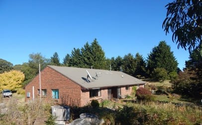 983 Old Bega Road Nimmitabel NSW 2631 - Image 1