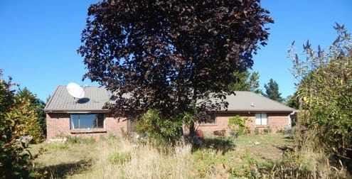983 Old Bega Road Nimmitabel NSW 2631 - Image 2