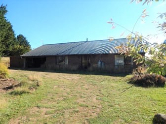 983 Old Bega Road Nimmitabel NSW 2631 - Image 3