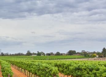 Blk 333 Coorong Avenue Red Cliffs VIC 3496 - Image 2