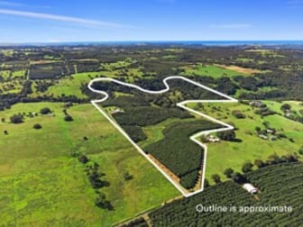 28 Mollys Grass Road Tregeagle NSW 2480 - Image 1